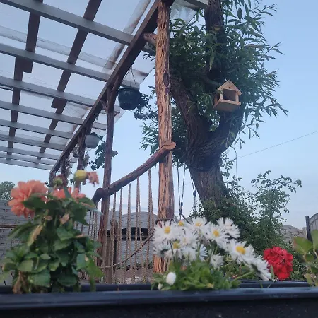 Casuta Din Crai Zărneşti