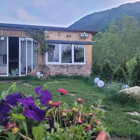 Casuta Din Crai Σπίτι διακοπών Zărneşti
